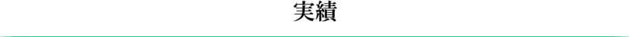 実績